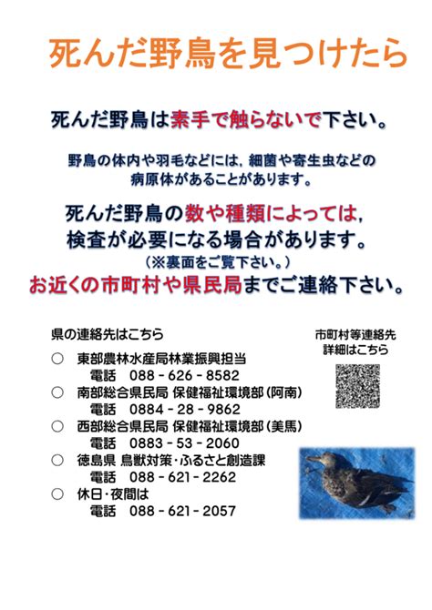 鳥死亡|富山県／死亡した野鳥を見つけたら注意しましょう